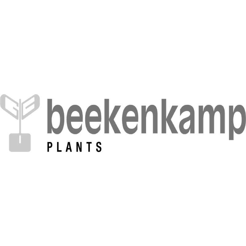 Beekenkamp
